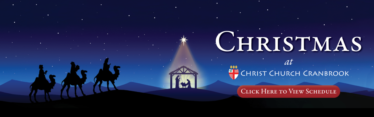 manger at night time, christmas at christ church cranbrook